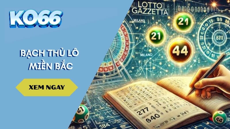 Bạch thủ lô miền bắc – Chốt cầu chuẩn 100%