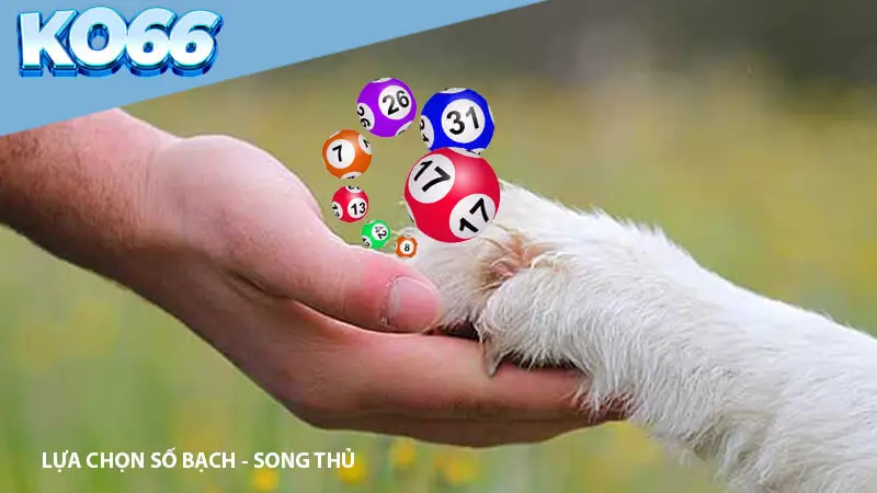 Lựa chọn con số phù hợp