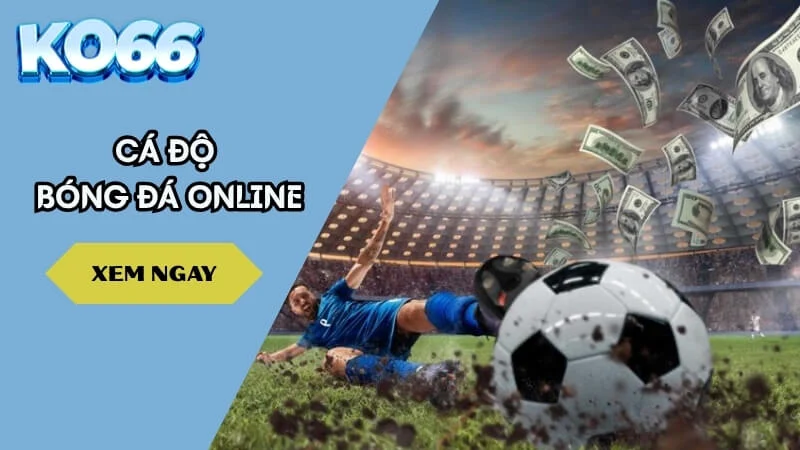 Toàn Cảnh Cá Độ Bóng Đá Online 2025 – Lợi Nhuận Hay Bẫy Ngầm?